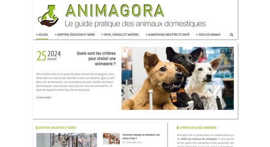 capture écran du site http://animagora.fr/